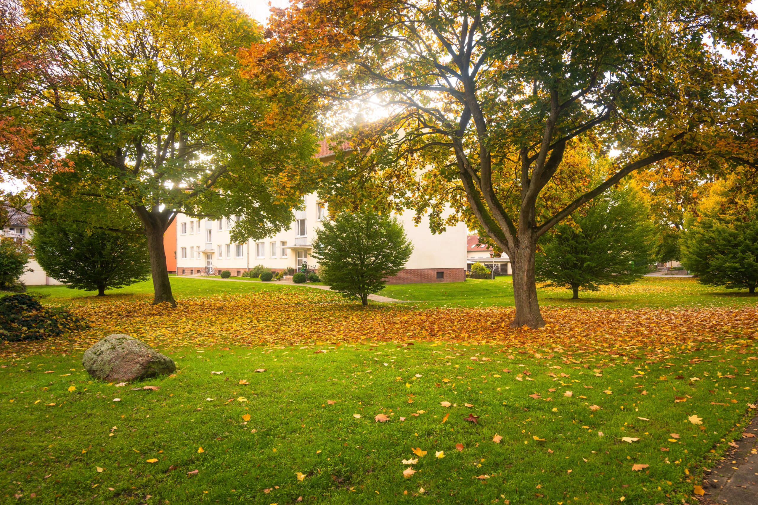 Rasenpflege im Herbst